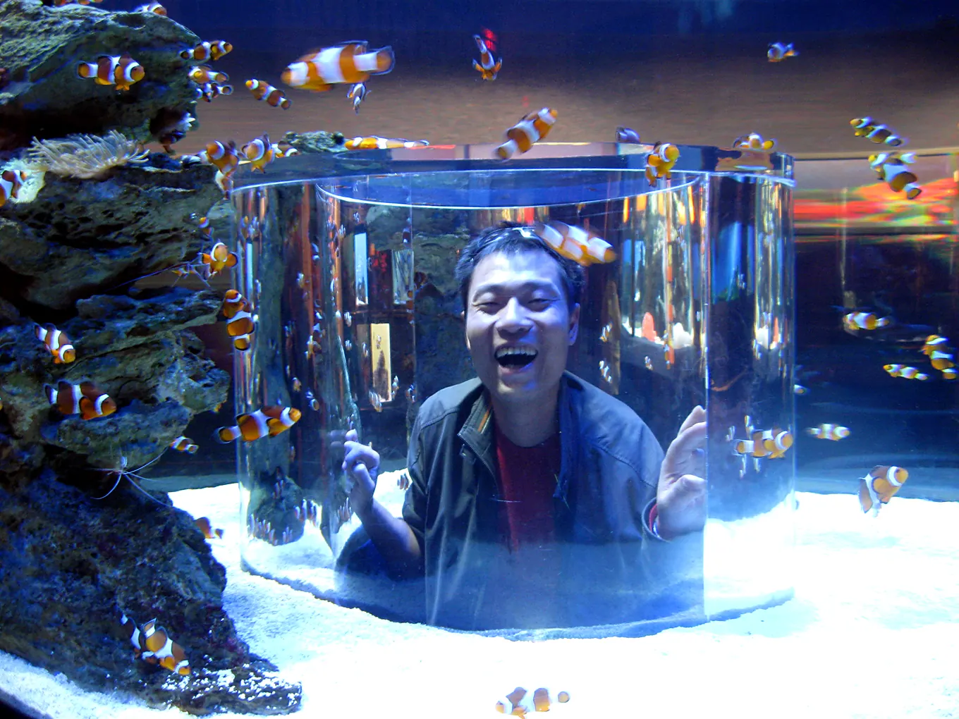 2009 年南非实拍：水族馆里的龙虾与鱼